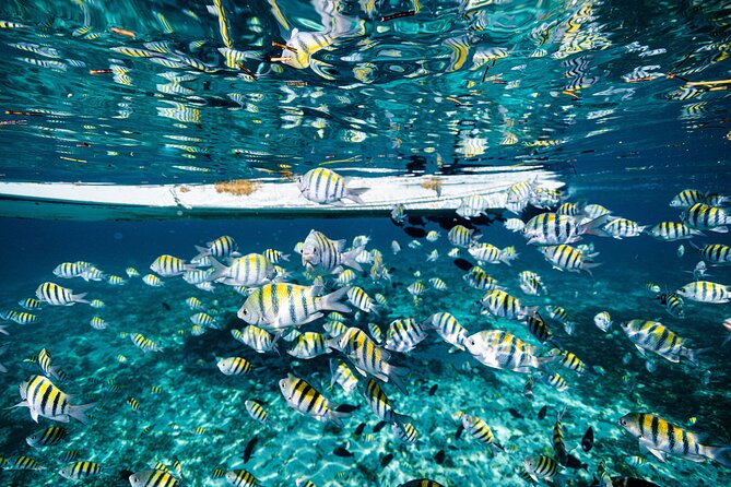 2 in 1 Parasail Cancun and Jet ski - Staff, safety, and the human side