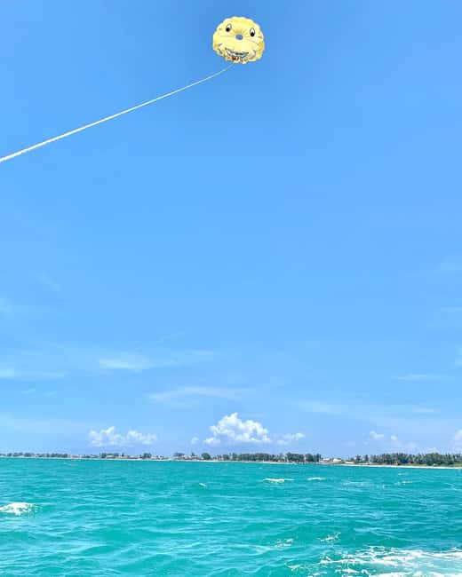 Anna Maria Island & Bradenton Beach Parasailing Tour - The 400-foot view and what you may see below
