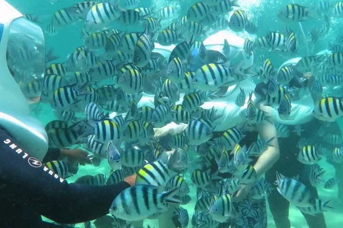 Bali Best Watersport Sea walker,Parasailing adventure,Jet sky - The morning pickup and ride to the beach