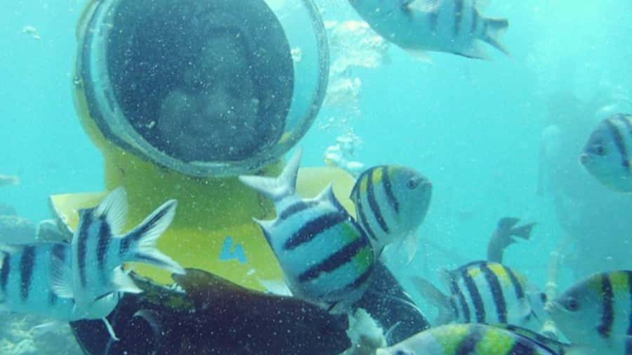 Bali: Sea Walk, Solo Jetski and Parasailing with Pickup - Hotel Pickup From Kuta, Jimbaran, And Nusa Dua