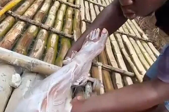 Bamboo Rafting, Limestone Foot Massage, Parasailing Private Tour - Rural Montego Bay, Fruit Trees, and Local Stories