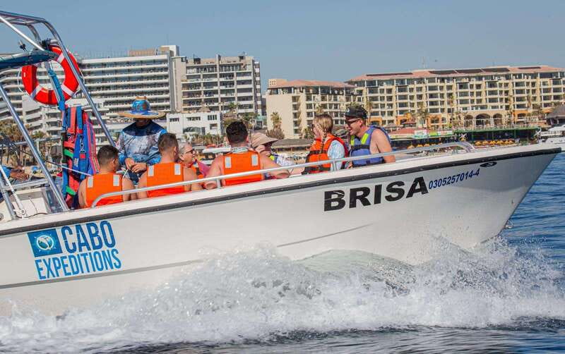 Cabo San Lucas: Parasailing Experience - Safety, eligibility, and comfort