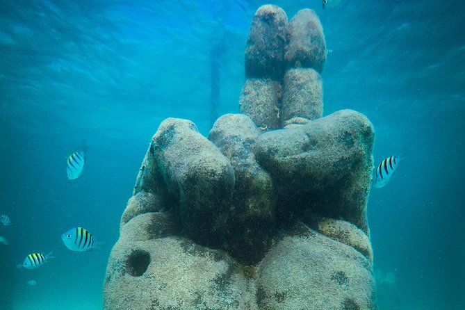 Cancun Adventure: Reef Snorkeling & Parasailing Experience - One morning, two Cancun classics