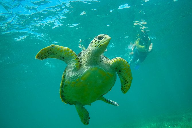 Cancun Adventure: Reef Snorkeling & Parasailing Experience - What the small boat changes