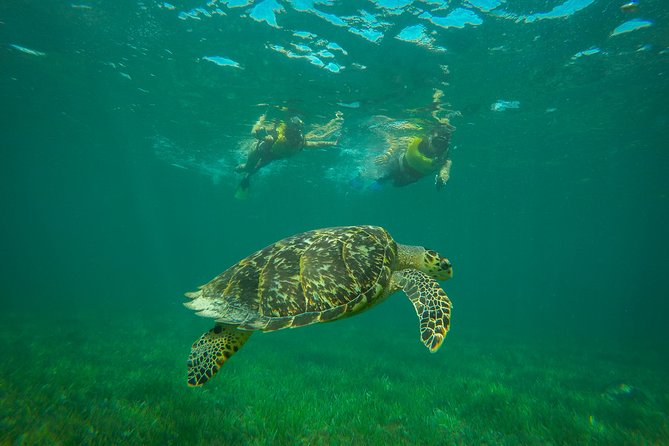 Cancun Adventure: Reef Snorkeling & Parasailing Experience - The awkward part: waiting and photos
