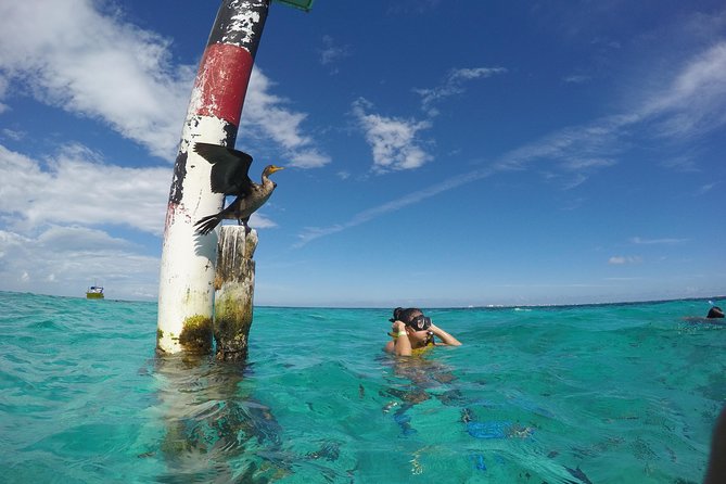 Cancun Adventure: Reef Snorkeling & Parasailing Experience - Arriving at Marina Punta Norte