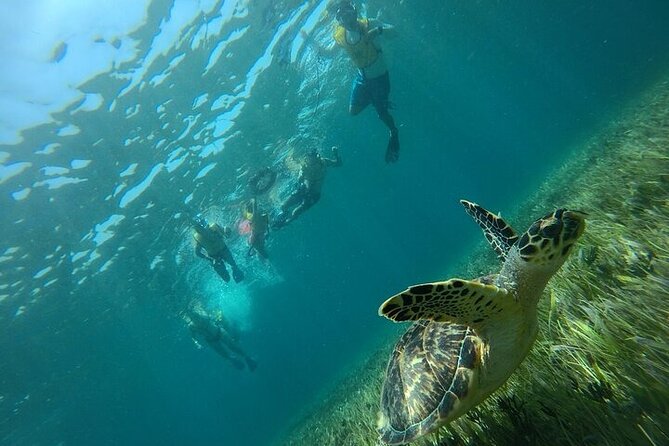 Cancun Combo Adventure: 4 Reef Snorkeling Stops & Parasailing - Is $209 a fair price?