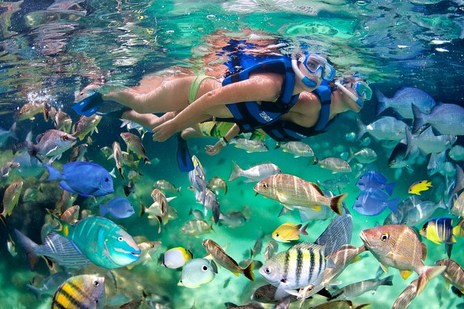 Catamaran Cruise with Snorkeling & Parasailing - Is $125 per person a good value?