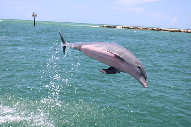 Experience Parasailing in Sarasota - The Feeling of Leaving the Ground