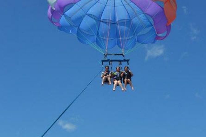 Hawaiian Parasail Since 1977 - Wildlife watching while you wait