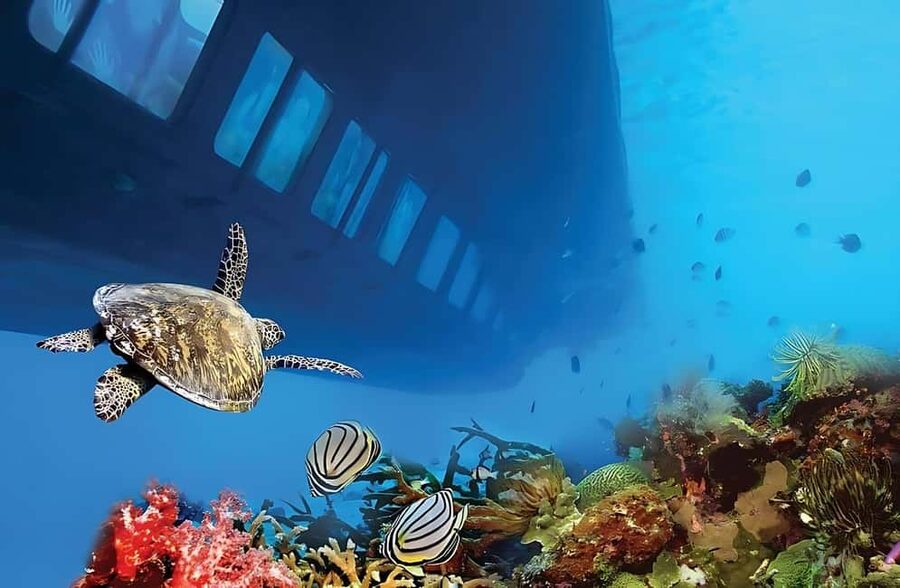 Hurghada: Glass Boat & Snorkeling with Optional Parasailing - Who will enjoy this most?