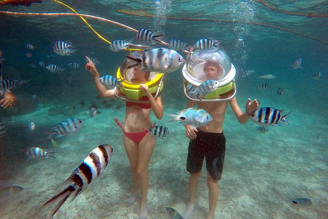 Ile aux Cerf: Speed boat with Parasailing & Tube Riding and Lunch - What this Ile aux Cerfs day is really like