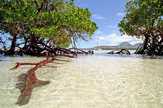 Marvelous Ile aux Cerf island: Speed Boat, Parasailing, Lunch & GRSE waterfall - Key points to know before booking