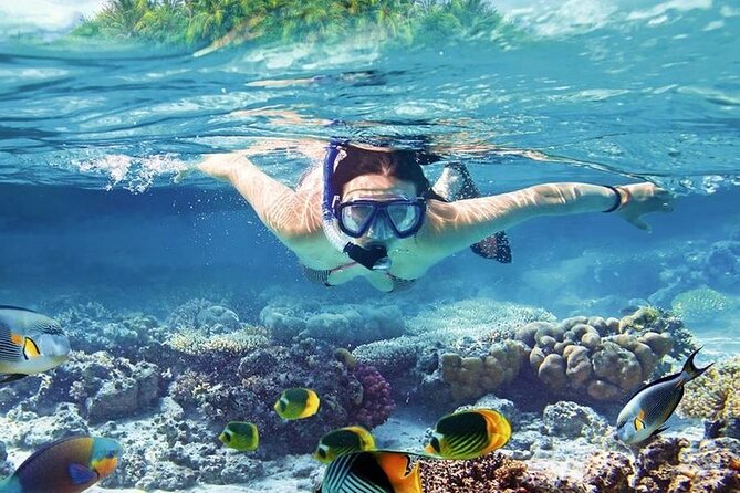 Orange Bay Island Snorkeling Trip with Parasailing - Hurghada - Two coral reef stops with an instructor