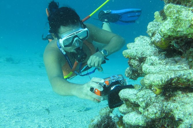 PACKAGE DEAL Catamaran- Snorkeling - Hooka Diving - Parasailing - Boat quality, group size, and comfort