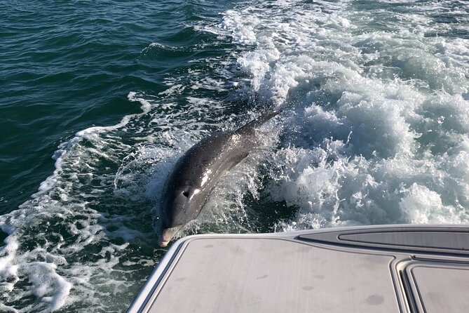 Parasailing Adventure in Anna Maria Island - What the 90-minute Anna Maria Island trip feels like