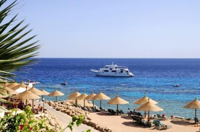 Parasailing Adventure On Marine Try Fly - Sharm El Sheikh - Key points before you book
