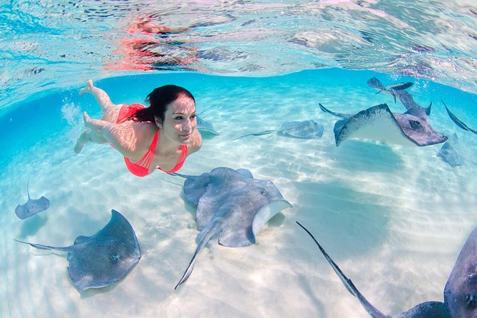 Parasailing, Snorkel Cruise & Virgen Beach from Punta Cana - Practical Tips for a Better Day