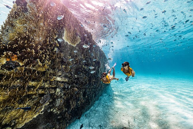 Parasailingcancun and Jet Ski tour over Cancun Bay - Sea turtles, shipwrecks, and the weather factor