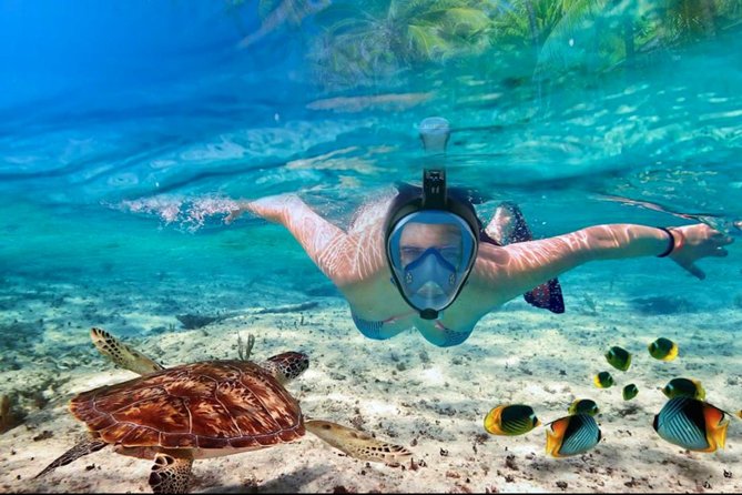Punta Cana Combo Tour: Snorkeling, Catamaran Cruise & Parasailing - Timing: plan for more than 4 hours 30 minutes