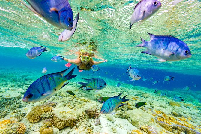 Punta Cana Parasailing & Snorkeling Cruise Experience - Key Points Before You Book
