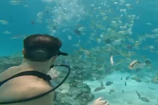 Punta Cana Party Cruise with Snorkeling, Hooka Diving and Parasailing - Hotel pickup and the start at Los Corales Beach