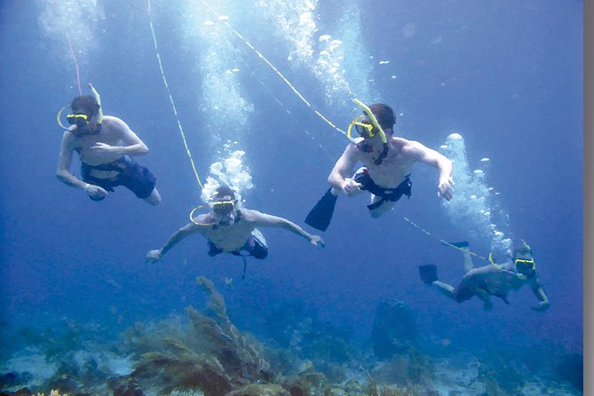 Punta Cana Party Cruise with Snorkeling, Hooka Diving and Parasailing - Hookah breathing for first-timers