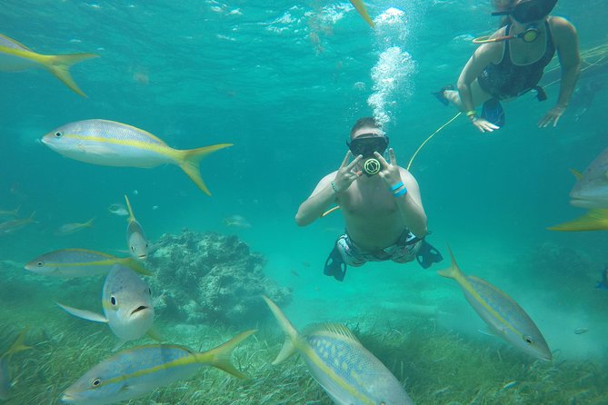 Punta Cana Party Cruise with Snorkeling, Hooka Diving and Parasailing - The catamaran party and open bar