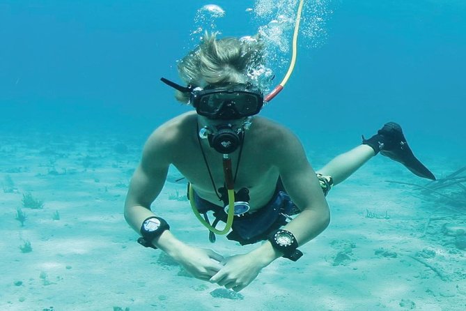 Punta Cana Party Cruise with Snorkeling, Hooka Diving and Parasailing - Is $140 a fair price?