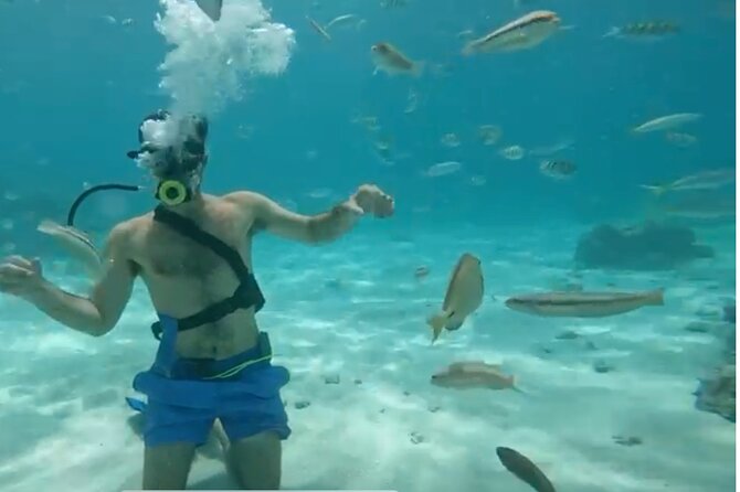Punta Cana Party Cruise with Snorkeling, Hooka Diving and Parasailing - Snorkeling around Punta Cana’s reefs
