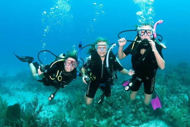 Semi Submarine Sea Trip and Parasailing & Turkish bath - Hurghada - Two hours on the Red Sea with snorkeling