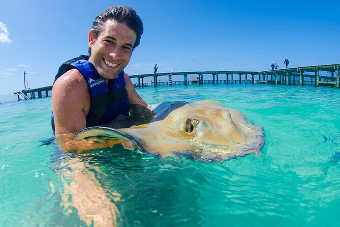 Sharks & Stingrays Snorkeling in Punta Cana with Parasailing - Stingrays, Sea Lions, and the Marine Park