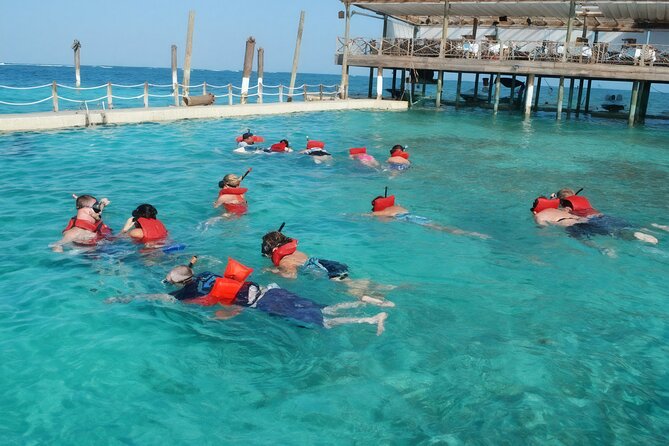 Sharks & Stingrays Snorkeling in Punta Cana with Parasailing - Parasailing Over Punta Cana’s Water