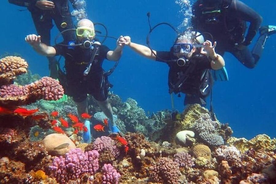 Sharm El-Sheikh: Parasailing, Camel Ride, Dive & Quad Bike - Starting with hotel pickup in Sharm El-Sheikh
