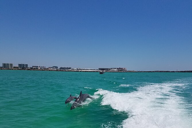 Sky High Parasailing From Marina Cafe - Destin Florida - Ten minutes above Destin