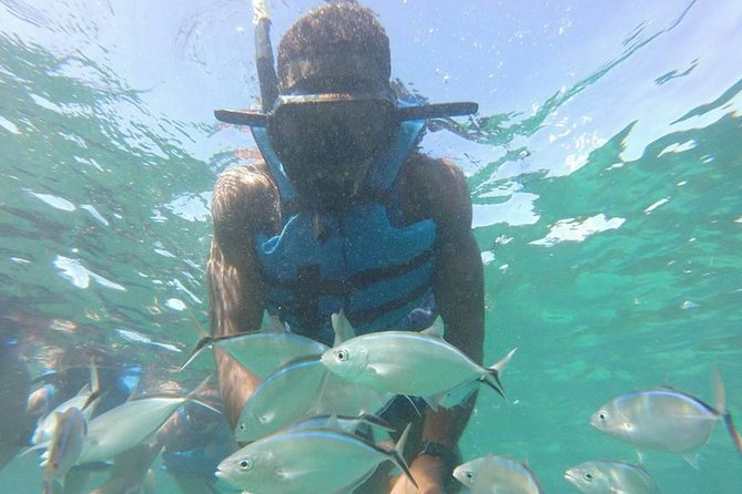 Snorkeling Catamaran Tour & Parasailing - Quick facts worth knowing