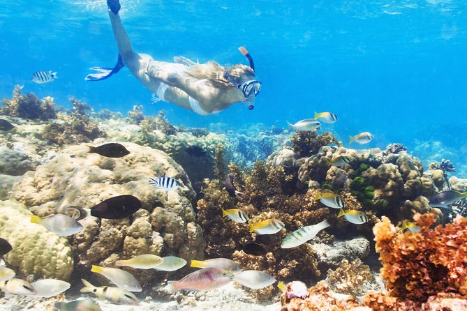 Snuba Snorkelking Parasailing and Catamaran Pack - Key points to know before booking